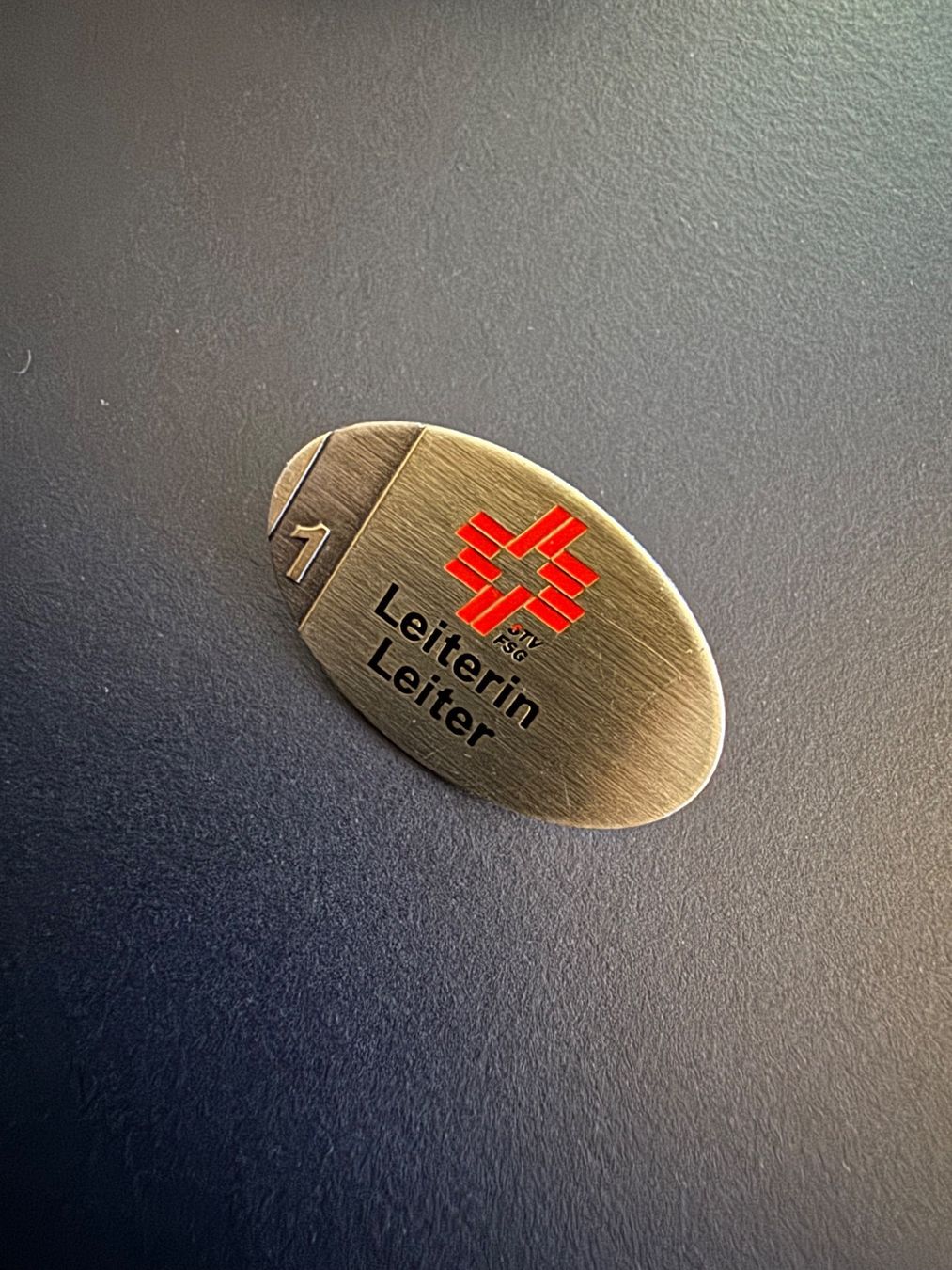 Placchette & Badge: Pin Schweiz Leiterin Sport Ski – Usato da Galgenen venduto da rub_f6kh