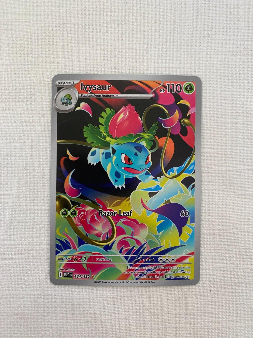 Pokémon Carte collezionabili: Pokemon / Mega Evolution MEG / Ivysaur 134/132 EN – Nuovo (secondo la descrizione) da Rottenschwil venduto da Sigma_Freud 2