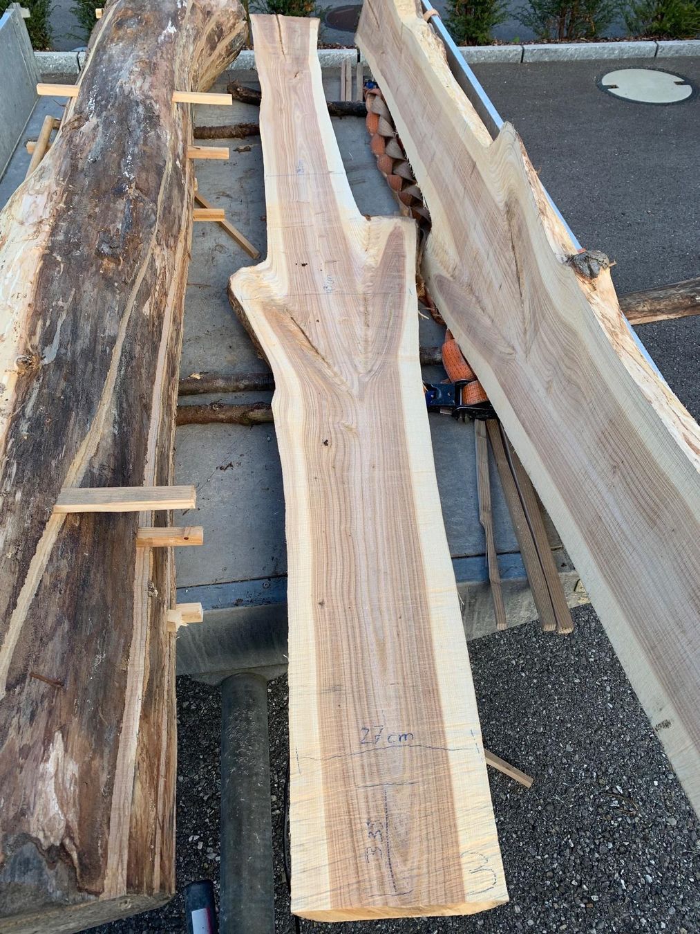 Articoli in legno: Ulmen Bretter – Nuovo (secondo la descrizione) da Lotzwil venduto da gia_bn2w 3
