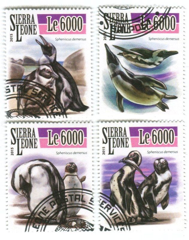 Tutti i francobolli: Briefmarken "Pinguine". Sierra Leone – Nuovo e nell'imballaggio originale da Basel venduto da Butsch5