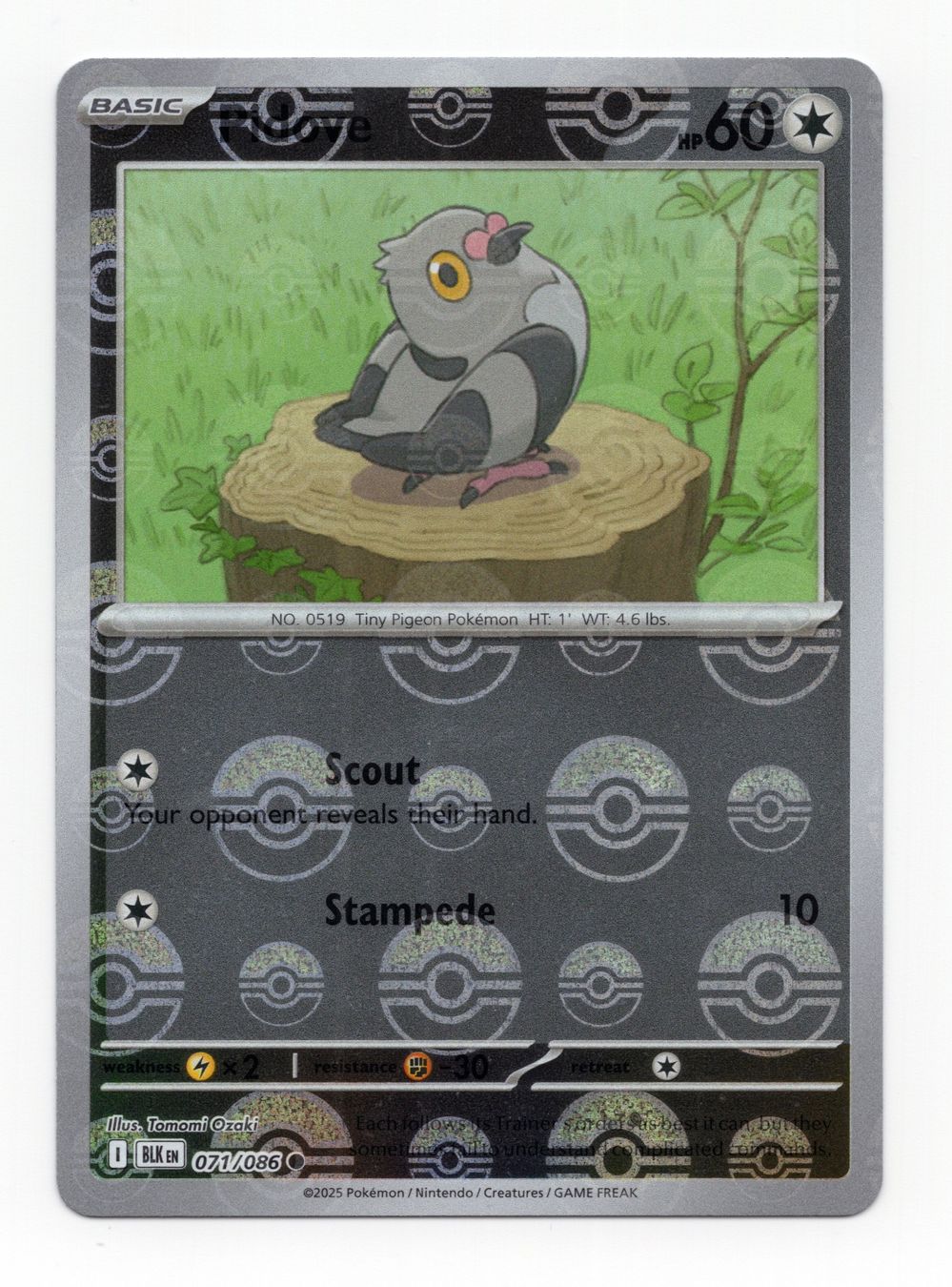 Pokémon Sammelbilder & Trading cards: Pidove 071/086 Black Bolt Poke Ball Pattern Englisch – Neu (gemäss Beschreibung) aus Oberglatt ZH von DSGS37