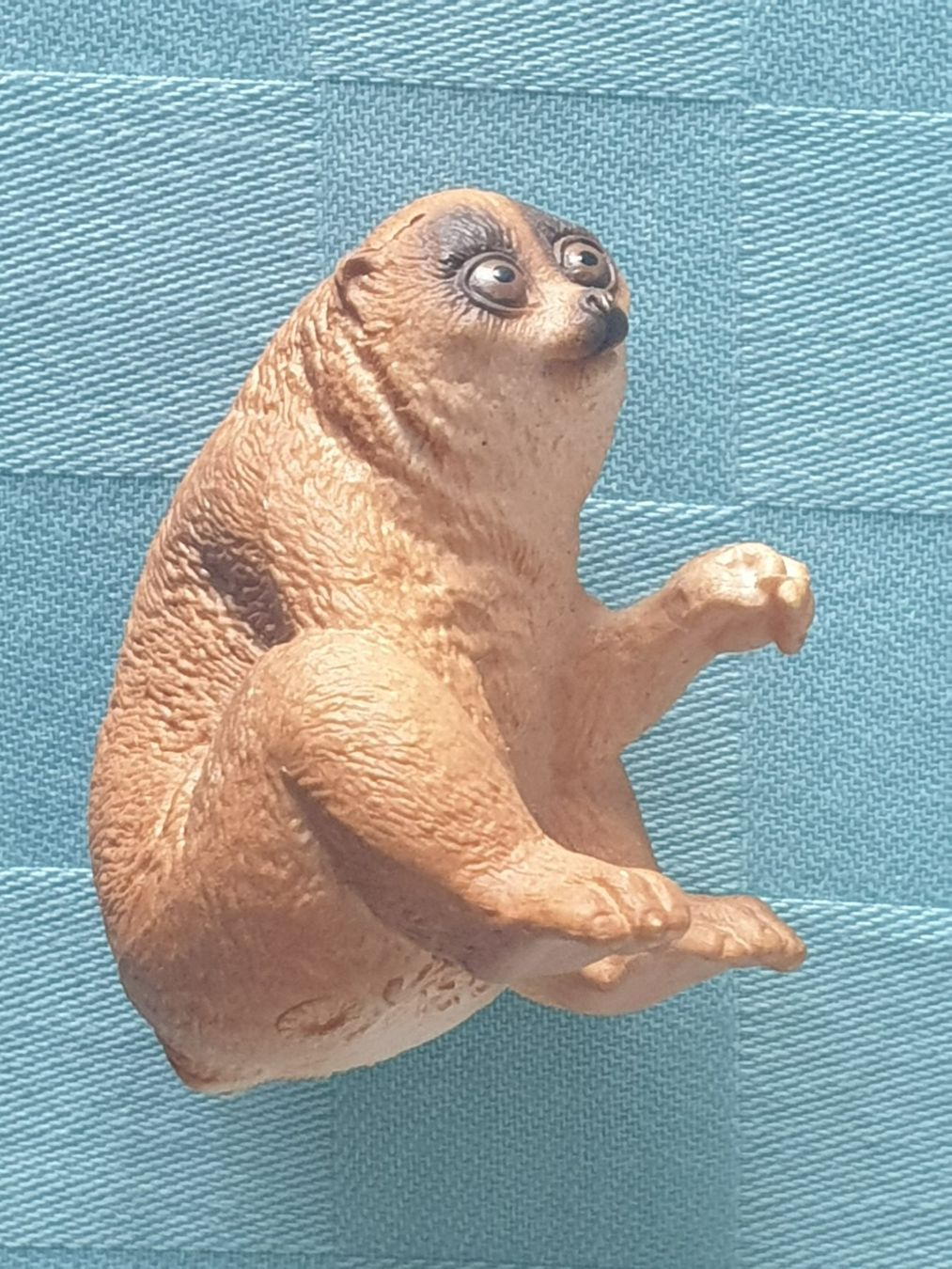 Schleich Statuette: Plumplori Tier Schleich – Usato da Mörschwil venduto da spirspi