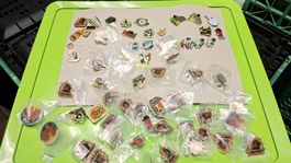 Pins Sammlung Coca Cola und andere