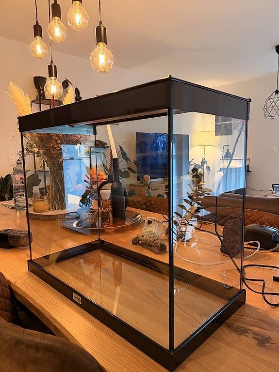 Tutte le decorazioni: Aquarium complet – Usato da Bulle venduto da vmarquesn 1