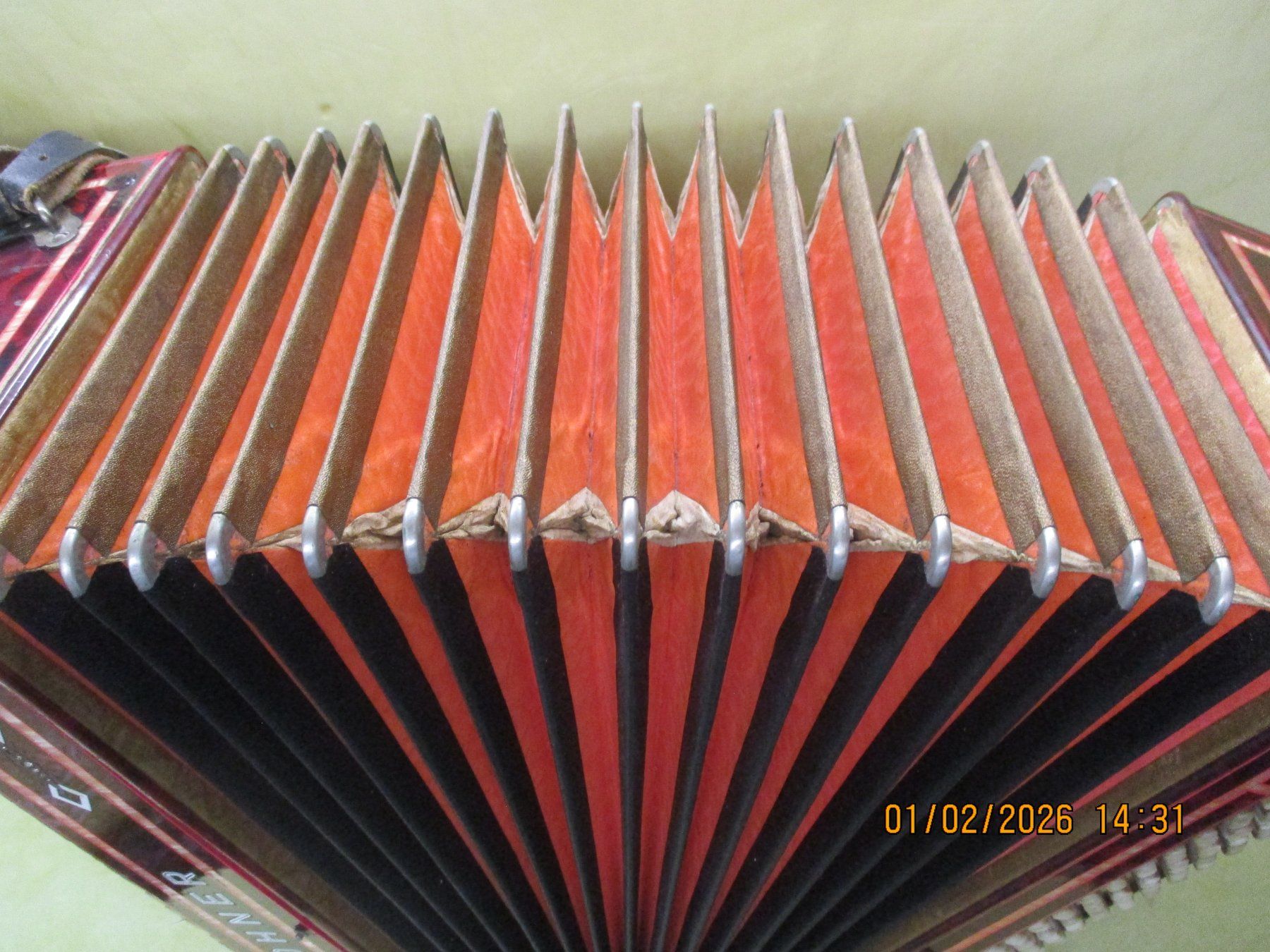 Hohner Musikinstrumente: Akkordeon Hohner Morino 5555 – Gebraucht aus Jegenstorf von Oktavio 8