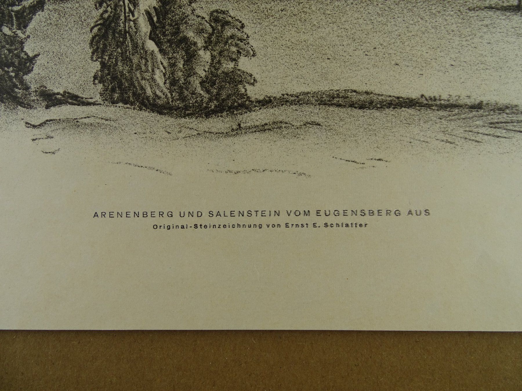 Grafica & Litografie: ARENENBERG, LITHO VON E.E. SCHLATTER – Usato da Grüningen venduto da Kartensammler 6