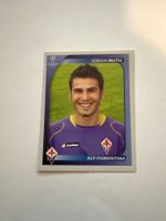 Panini UEFA Champions League 2008-2009 - Nr. 295