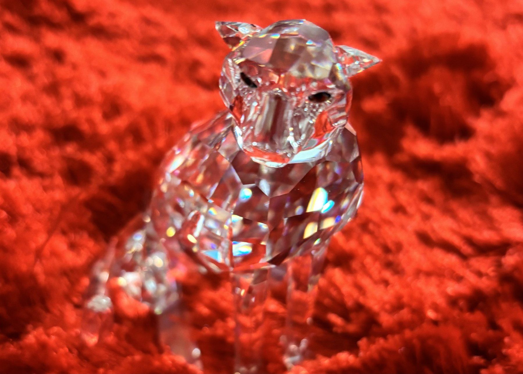Swarovski Statuette: Swarovski Puma / Panther / Gepard – Usato da Seon venduto da Ceci7 2