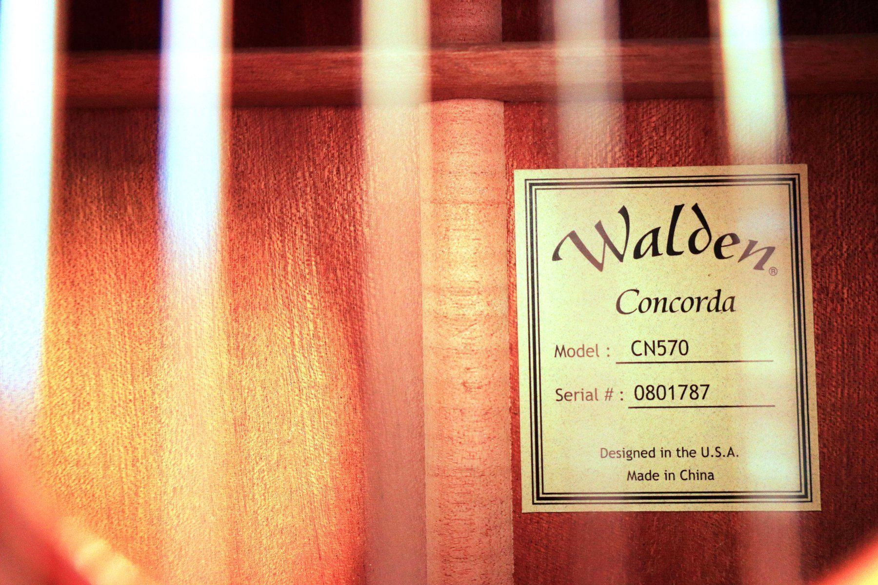 Strumenti ad arco e pizzico: Guitare classique Walden Concorda new – Nuovo e nell'imballaggio originale da Goumoens-la-Ville venduto da Vitamine 5