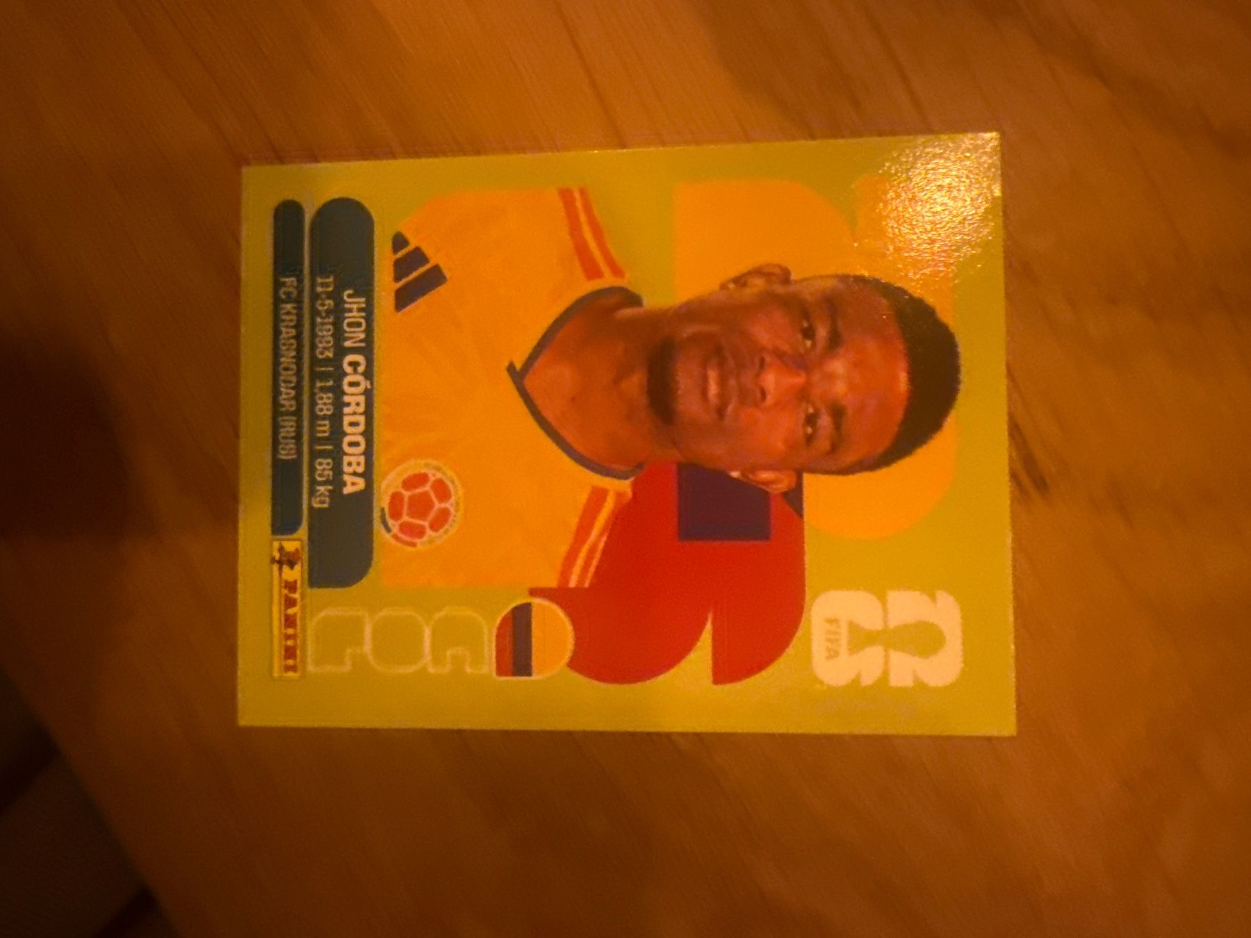 Panini Carte collezionabili: Panini – Usato da Langnau i. E. venduto da Acrjl