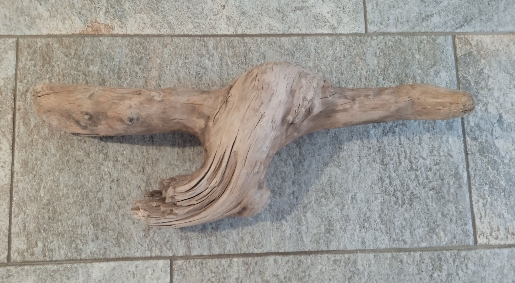 Articoli in legno: Schwemmholz 2 – Nuovo e nell'imballaggio originale da Widnau venduto da ForViolin 1