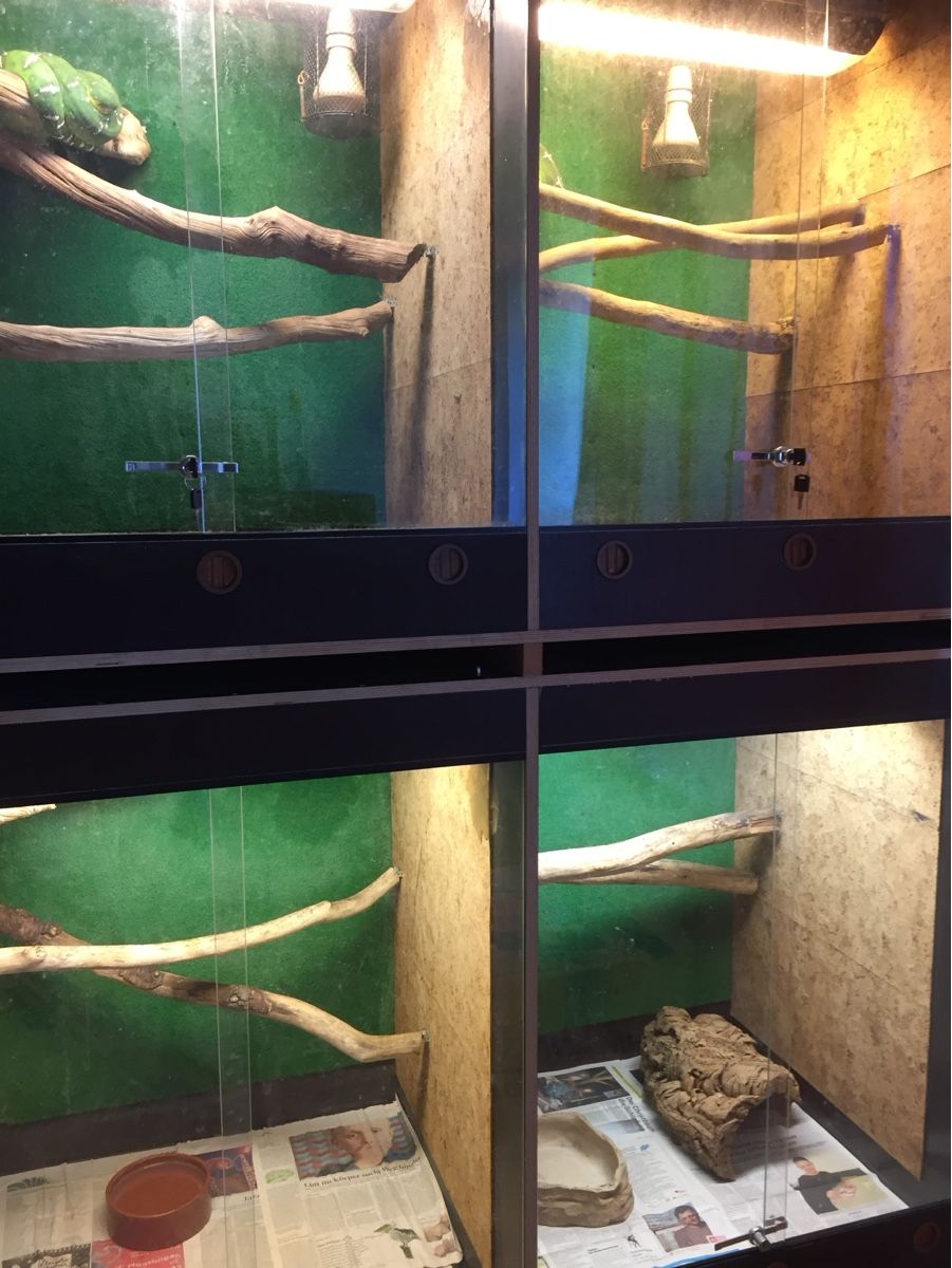 Terrario: Grosser Terrarienturm  – Usato da Schalchen venduto da kwadelschnut 4