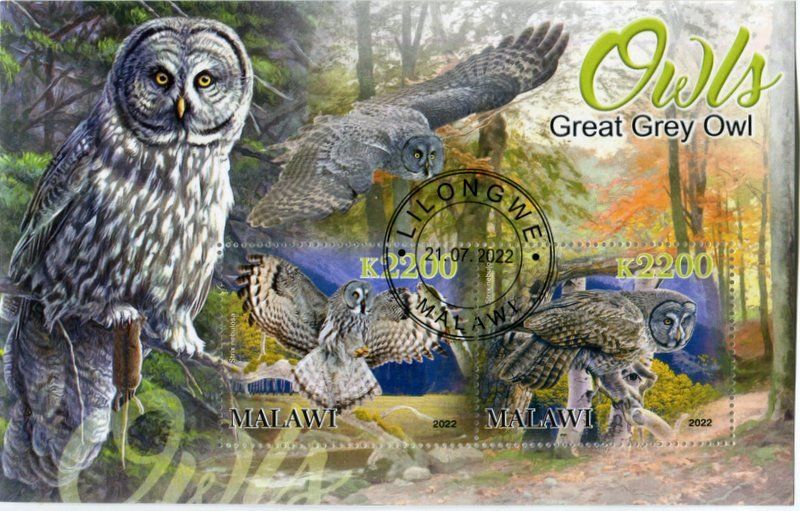 Alle Briefmarken: Block "Eulen". Malawi – Neu und originalverpackt aus Basel von Butsch5