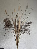 Trocken Gräser/ Schilf usw