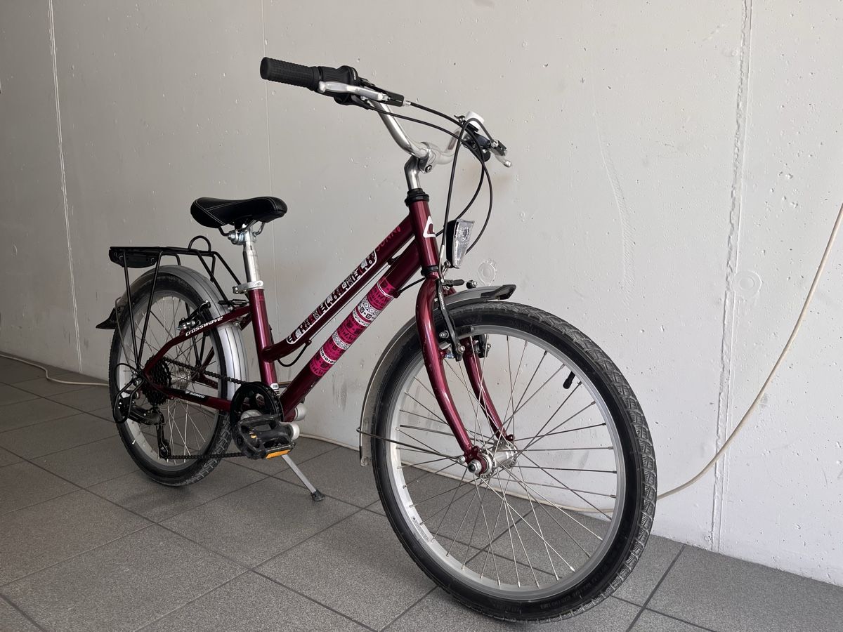 Crosswave Biciclette: Crosswave Sunny 20" Kindervelo – Usato da Unterlunkhofen venduto da Fabio250 2