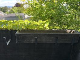 3 Stück Balkonkiste Blumenkasten Pflanzentrog Eternit