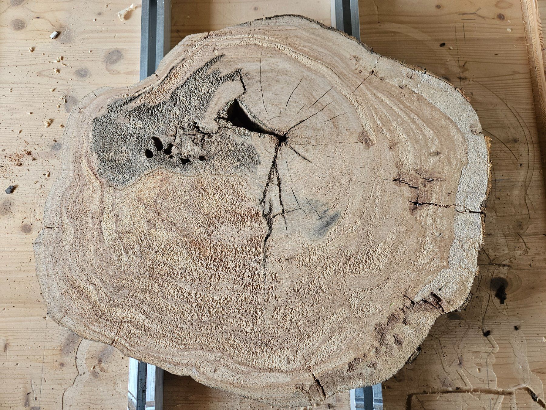 Articles en bois: Baumscheibe Kirschbaum Holz – Neuf (Voir description) à Schangnau par egli6.2 2