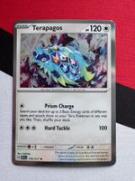 Pokémon TCG - Terapagos Holo (ASC178) Ascended Heroes EN