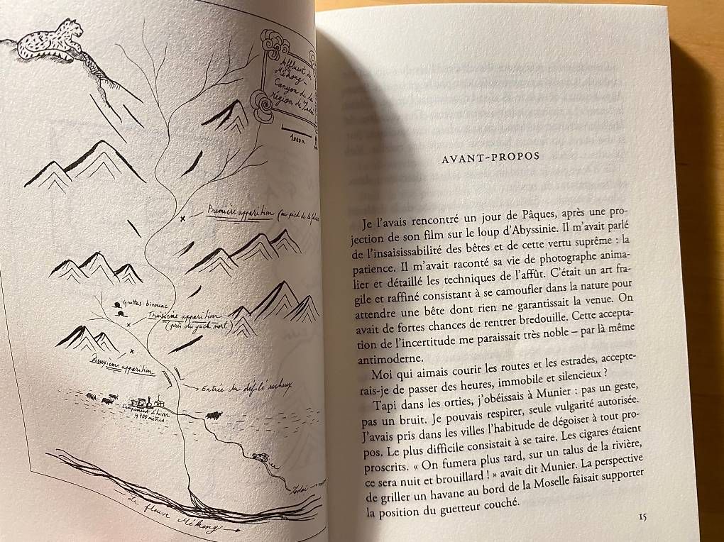 Libri: La panthère des neiges, Sylvain Tesson – Usato da Zürich venduto da Pascal_2bzx 2