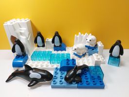 LEGO Duplo Tiere der Arktis - Antarktis (Orcas, Pinguine...)