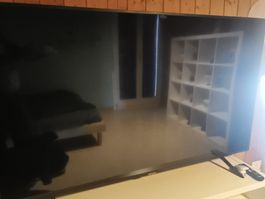Samsung Fernseher 65 Zoll Defekt