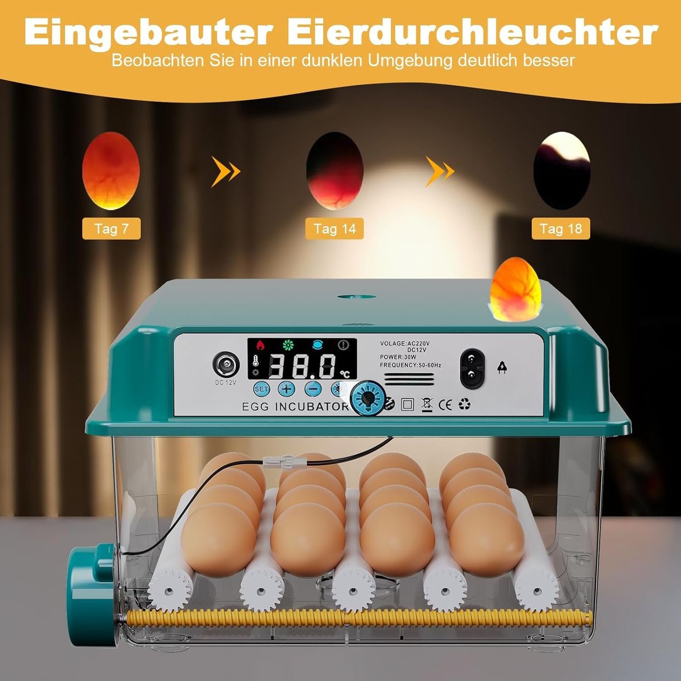 Sonstiges Tierzubehör: Brutautomat kompakt 16 Eier Inkubator mit Eierwende – Neu und originalverpackt aus Wittenbach von SELVARO 6