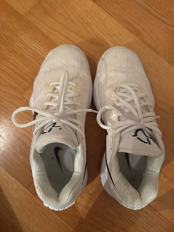 Herrenschuhe: Nike 36.5 Hyperdunk 2017 Low – Gebraucht aus Pfäffikon SZ von Melanie335 1