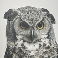 Profile image of SHOP-Liquidation