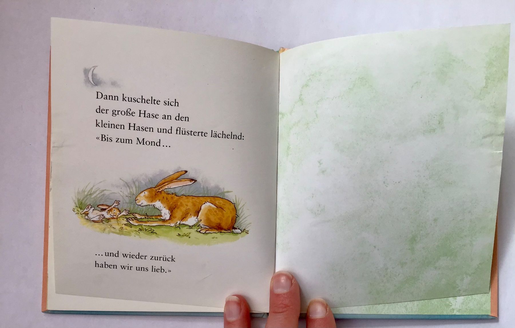 Libri: Weisst du eigentlich, wie lieb ich dich hab? – Usato da Bubendorf venduto da Alpenheidi 8