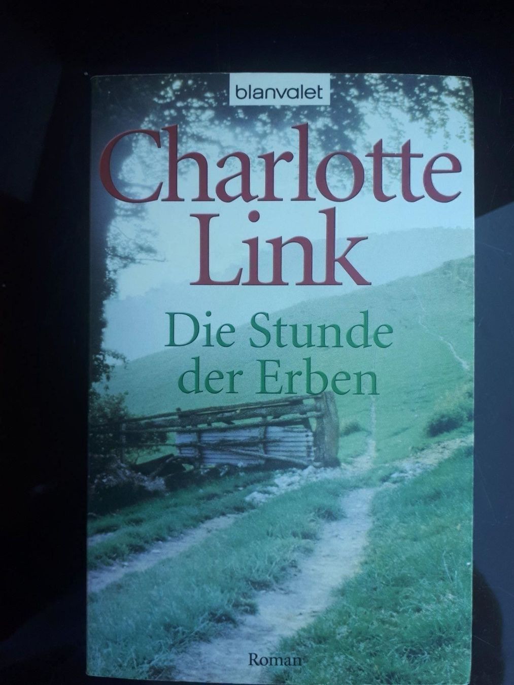 Libri: Charlotte Link Die Stunde der Erben – Usato da Basel venduto da Alacant