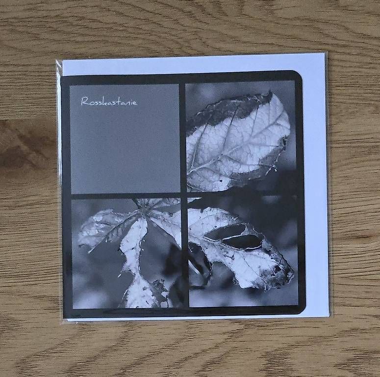CDs: Collagekarte Rosskastanie – Neu und originalverpackt aus Chur von Frei3912 1