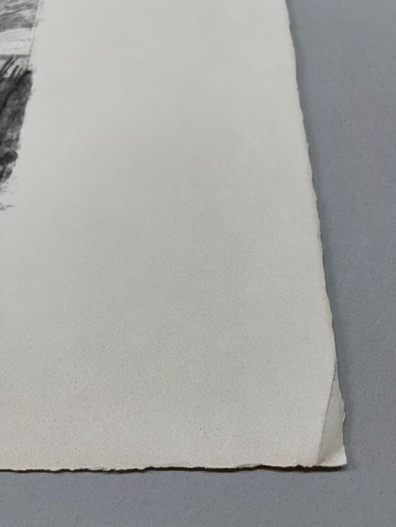 Grafica & Litografie: ERNST MORGENTHALER LITHOGRAPHIE BLATTGRÖSSE 56X45CM – Usato da Gersau venduto da grafik-kunst 4