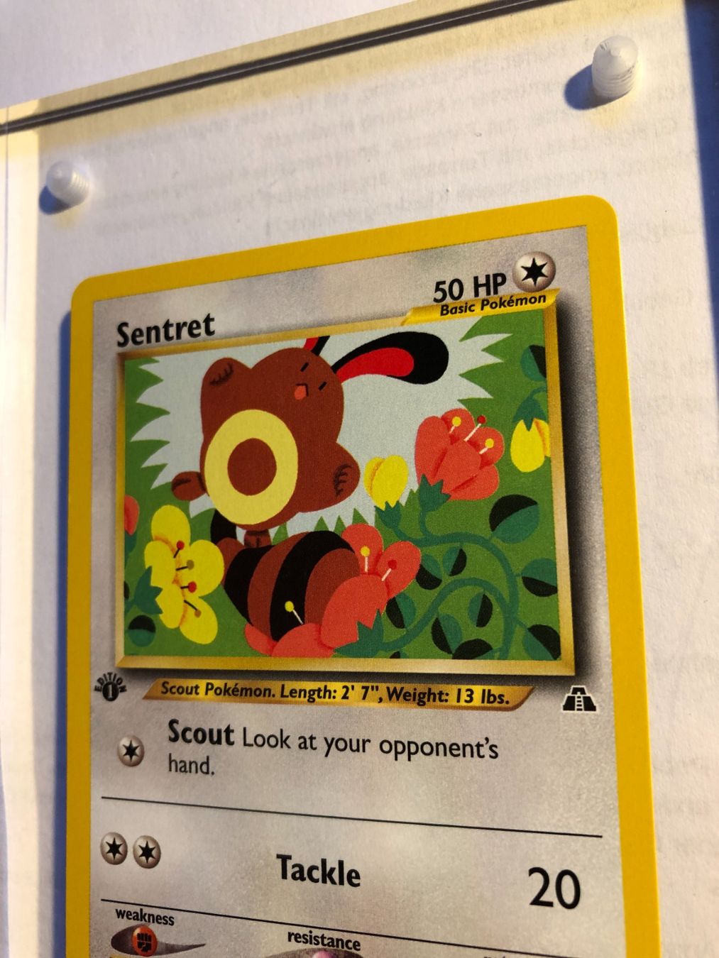 Cartes à collectionner: Sentret 1st Neo Discovery - MINT - ab 1.- – D'occasion à Giubiasco par dan_pr8b 3