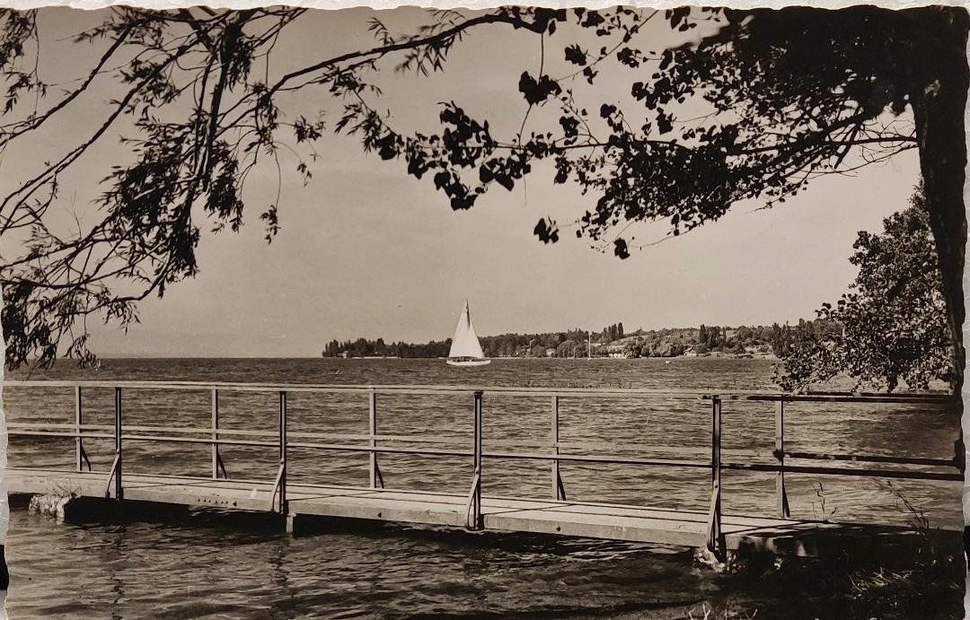 Cartoline postali: HERMANCE - Vue vers Tougues - 1956 – Usato da Delémont venduto da Domdom1