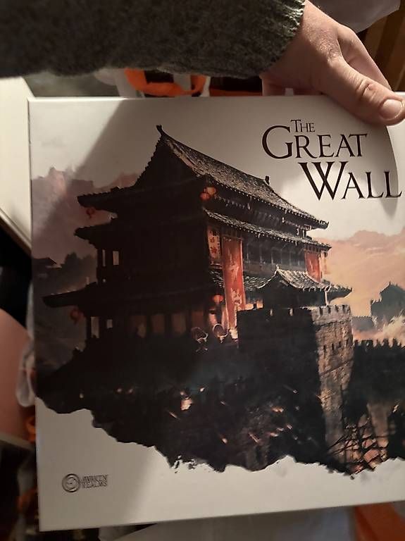 Dischi in vinile: The Great Wall – Usato da Oberriet SG venduto da Golf3000