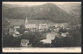 Dussnang, Totalansicht mit Berg aus der 