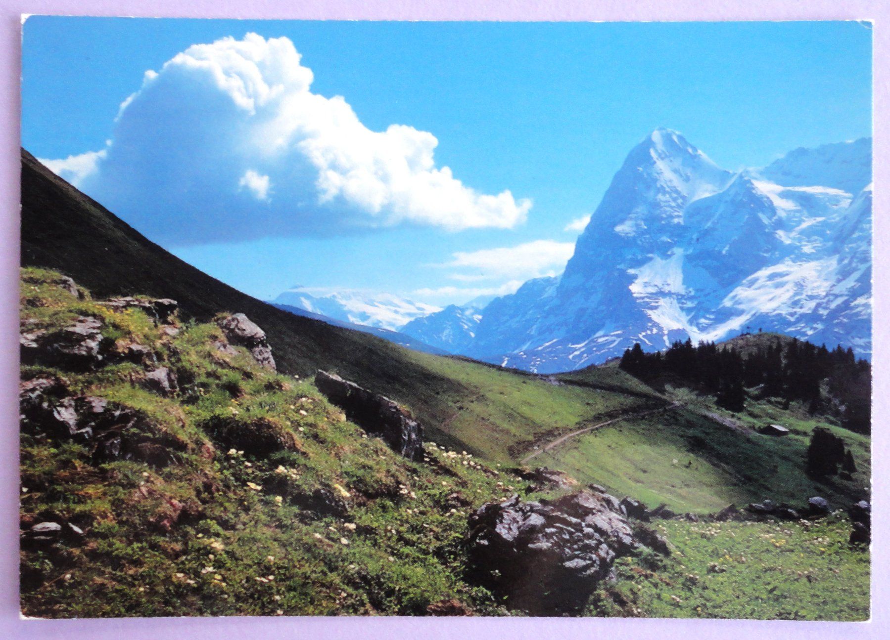 Cartoline postali: Mürren, Hinteres Blumental mit Eiger – Usato da Fétigny venduto da Billy2miny
