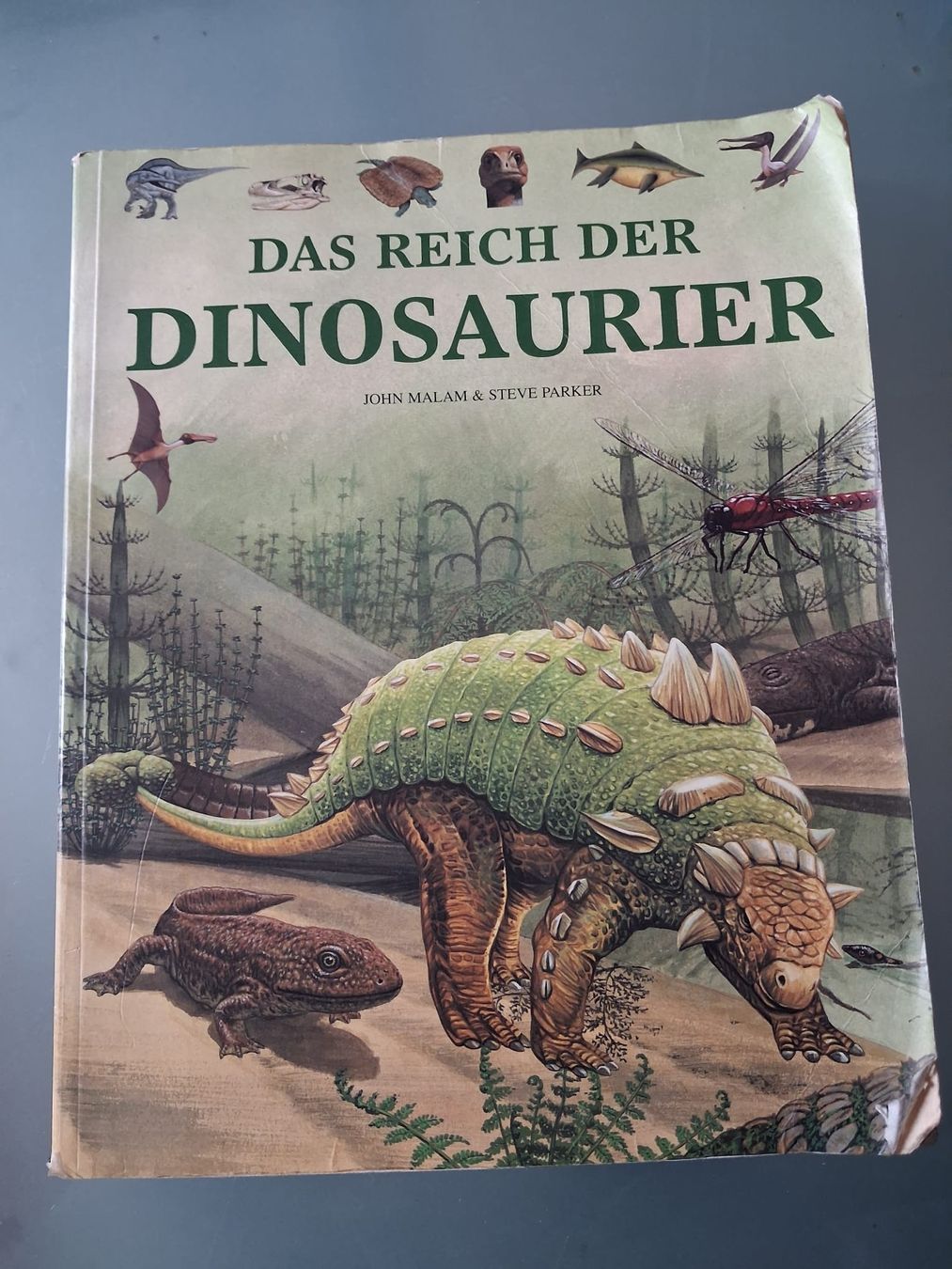Bücher: Diverse Kinderbücher – Gebraucht aus Gerzensee von bas_tk6l 2