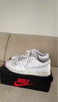 Nike Dunk Low Sneaker