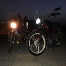 Profile image of Zoomination