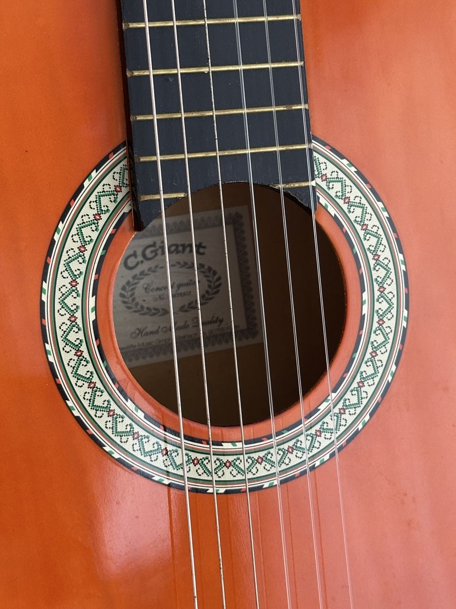 C.Giant Strumenti musicali: Gitarre C.Giant – Usato da Schaffhausen venduto da pinca19 4