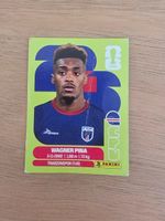 Panini Fifa CPV 7 Beschreibung bitte lesen