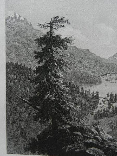 Incisioni: St.Moritz Oberengadin – Usato da Risch venduto da Rischli15 3