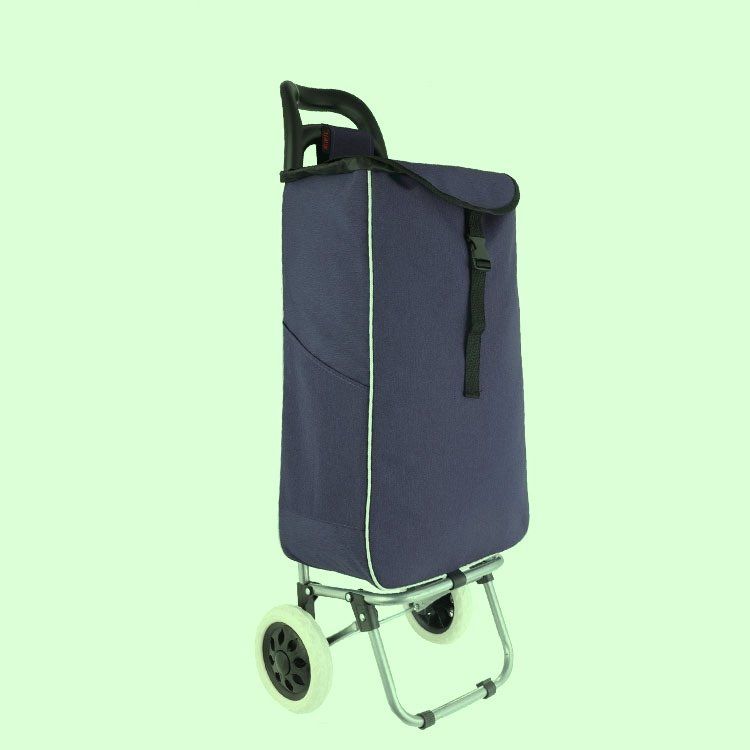 Cover & Protezioni schermo: Chariot de courses à 2 roulettes 35L – Nuovo e nell'imballaggio originale da Morges venduto da M-Store