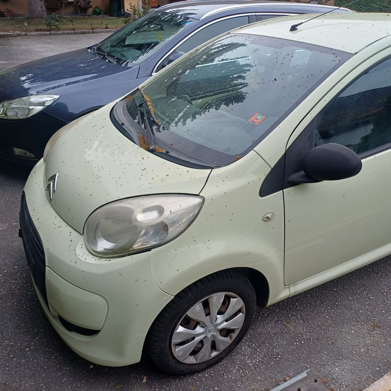 Citroën Autos: Citroen C1, 2010, super mécanique – Gebraucht aus Renens VD von sba_5ssb 2