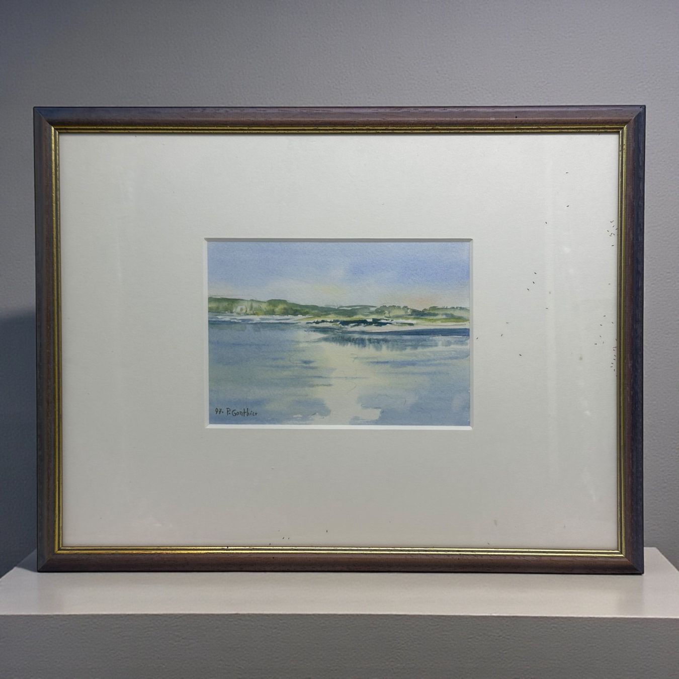 Dipinti: Pascal GONTHIER - Aquarelle originale paysage Lac Léman – Usato da Morges venduto da vintix