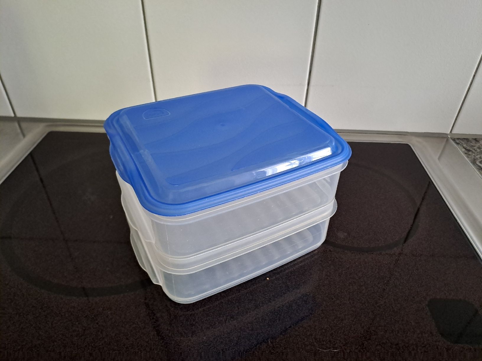 Contenitori & Simili: Praktische Frischhaltedose mit Deckel – Usato da Rickenbach LU venduto da bishiida