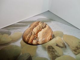 Lanschafts-Jaspis Herz/ Handschmeichler