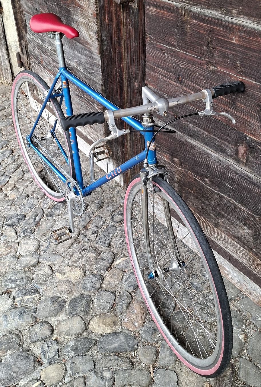 Cilo Biciclette: Cilo singlespeed in Gr M – Usato da Adliswil venduto da trujillo01 8