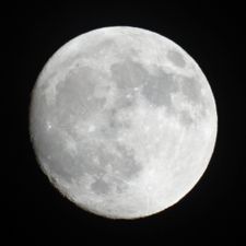 Profile image of OLIVIER55